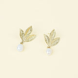 Boucles Ambroise