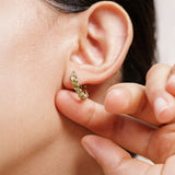 Boucles Ropi