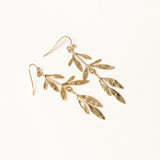 Boucles Nahar
