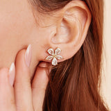 Boucles Modene