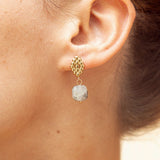 Boucles Maayan